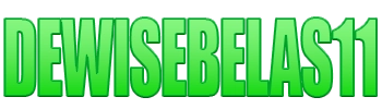 Logo DEWISEBELAS11